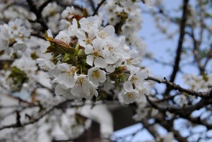 photo gallery 03