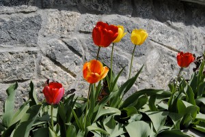 photo gallery 04