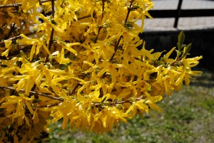 photo gallery 05