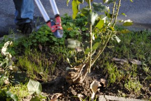 photo gallery 06