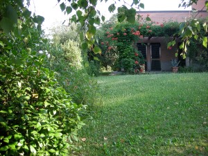 photo gallery 08