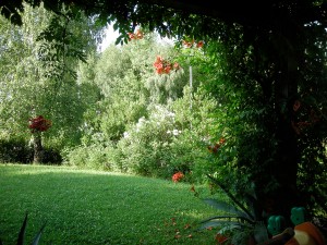 photo gallery 09