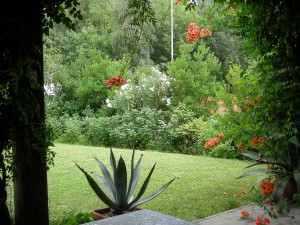 photo gallery 10