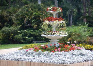 photo gallery 16