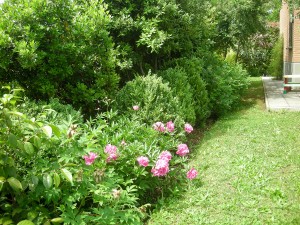 photo gallery 17