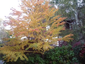 photo gallery 18