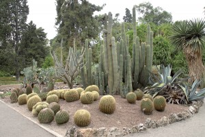 photo gallery 19