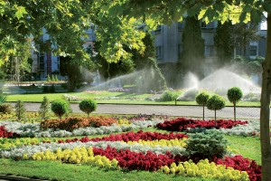 photo gallery 21