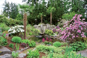 photo gallery 25