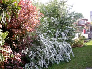 photo gallery 26