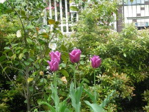 photo gallery 28