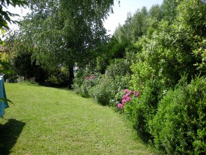 photo gallery 29