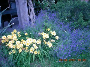 photo gallery 30