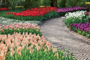 photo gallery 33